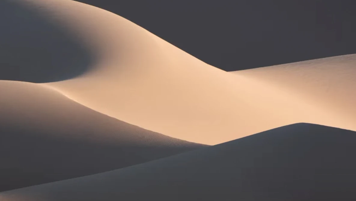 Sand dunes with smooth curves lit by warm golden sunlight against dark shadows.