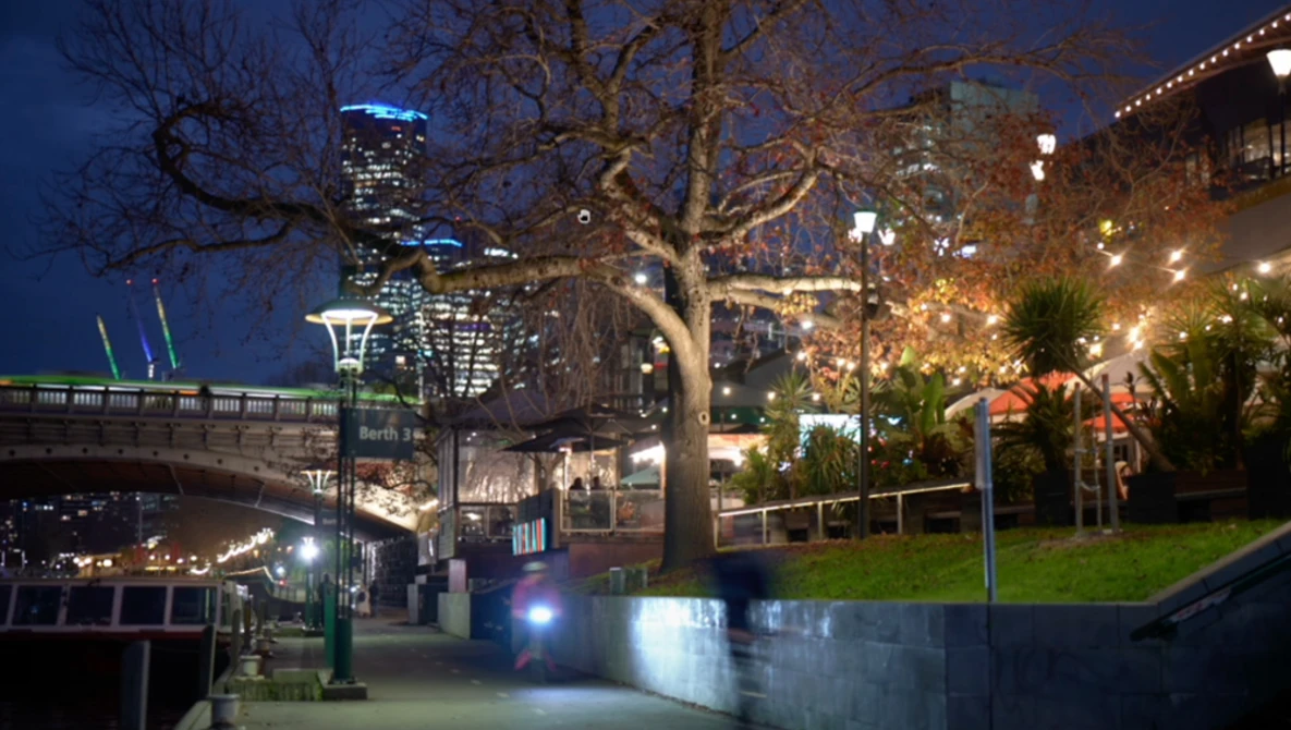 Urban waterfront plaza at twilight with illuminated bare tree, bridge, and lit buildings in background.