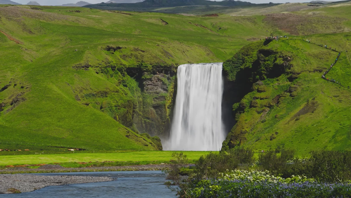 Powerful waterfall cascading into a river surrounded by vivid green hillsides and dark basalt cliffs.