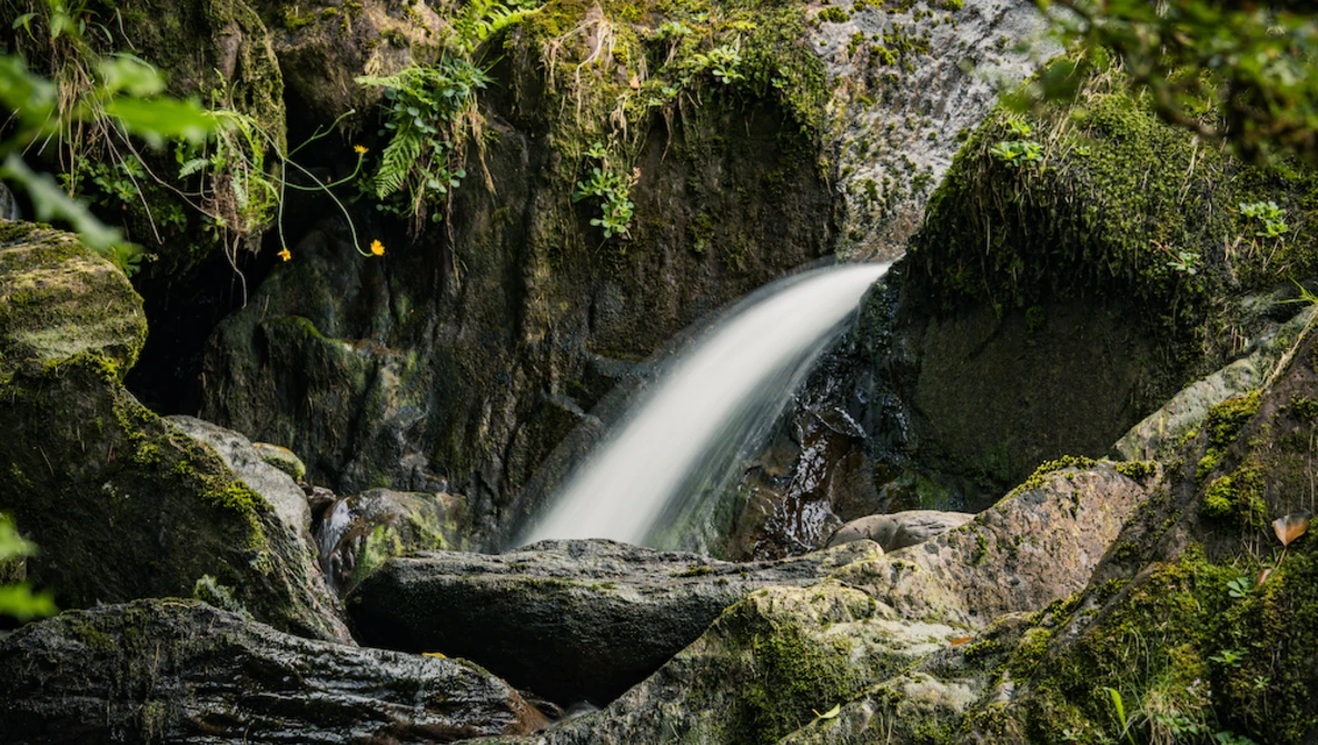 Waterfall flowing through moss-covered rocks in a forest stream.