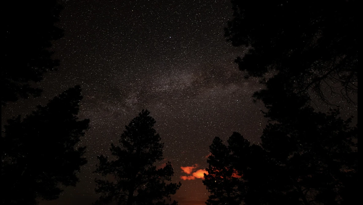 Milky Way galaxy stretches across a starry night sky framed by silhouetted evergreen trees, with warm orange light glowing near the horizon.