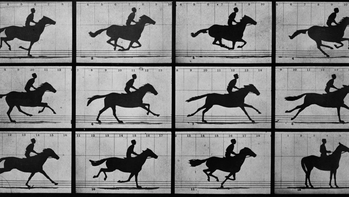 Sequential silhouettes of a horse and rider in motion across numbered frames.