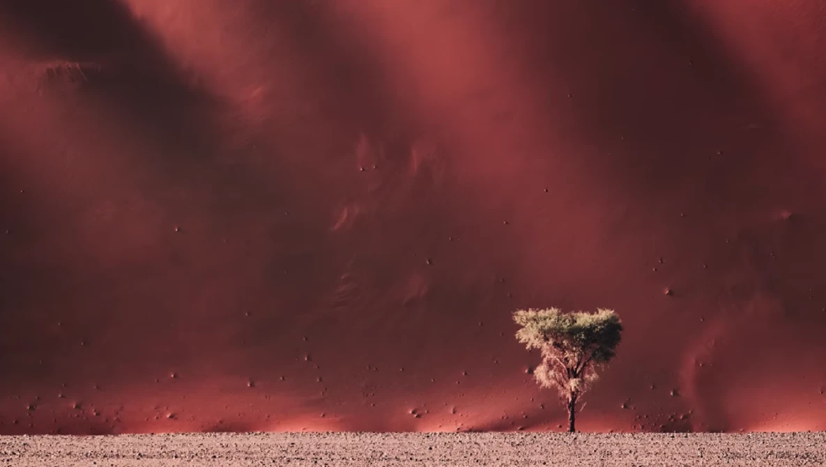 Solitary tree silhouetted against a massive dust storm under crimson sky.