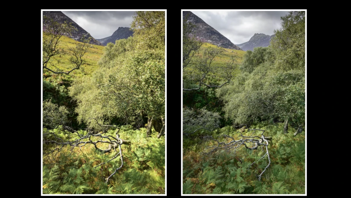 Side-by-side comparison of the same mountain valley landscape in different post-processing styles.