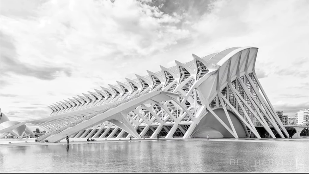Monochromatic photograph of a striking ribbed skeletal building structure reflected in still water.