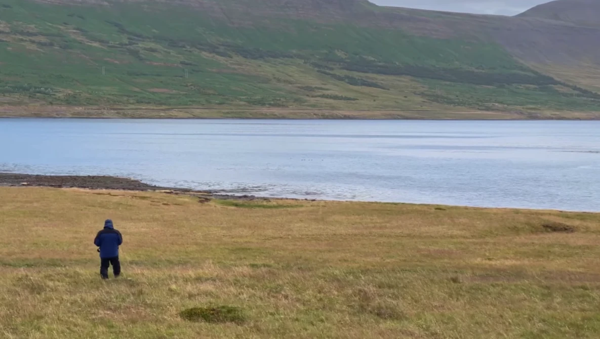 Solitary figure in dark jacket standing on grassy plain facing calm bay with green mountains beyond.