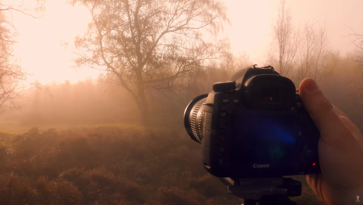 Canon DSLR camera held up to photograph a misty landscape with bare trees at golden hour.