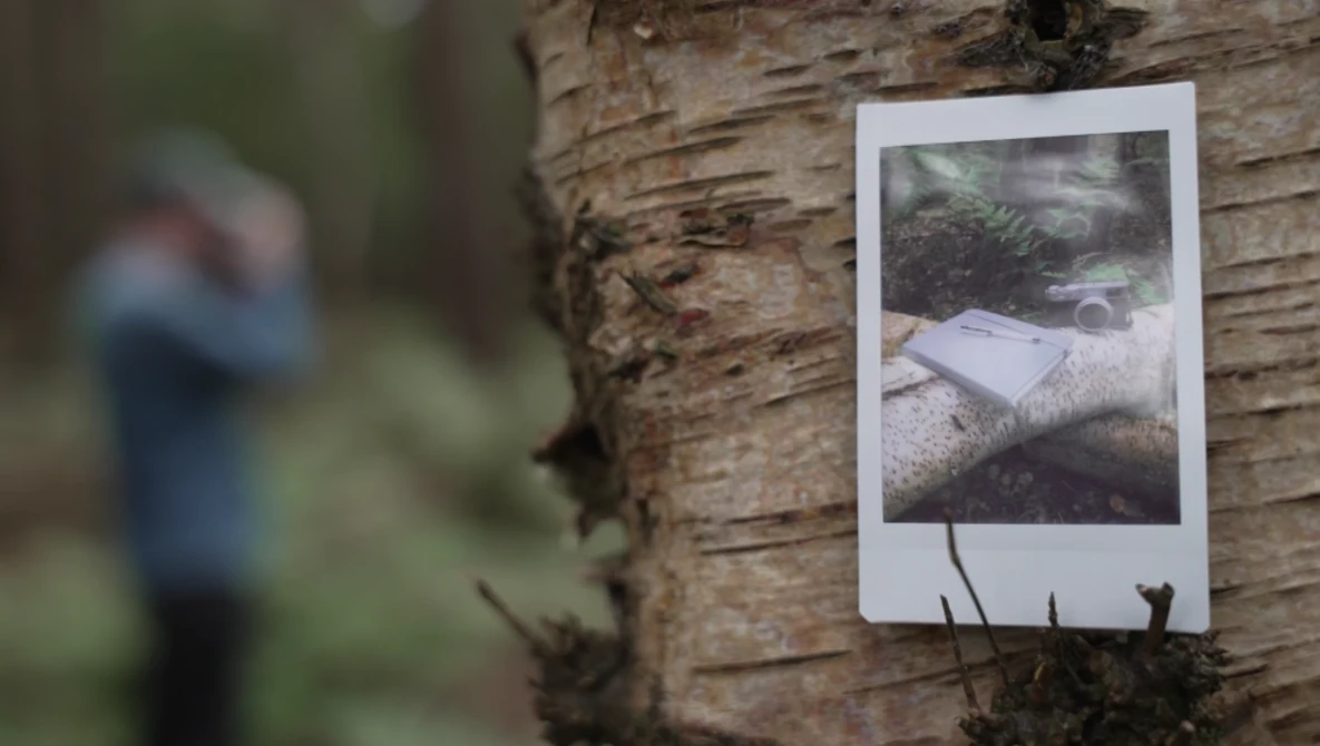 Instant film photo attached to a tree trunk with a blurred figure visible in the background.