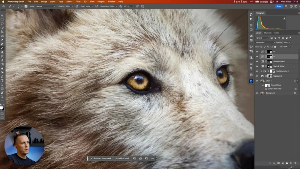 Close-up of a wolf's face with striking amber eyes and gray-brown fur.