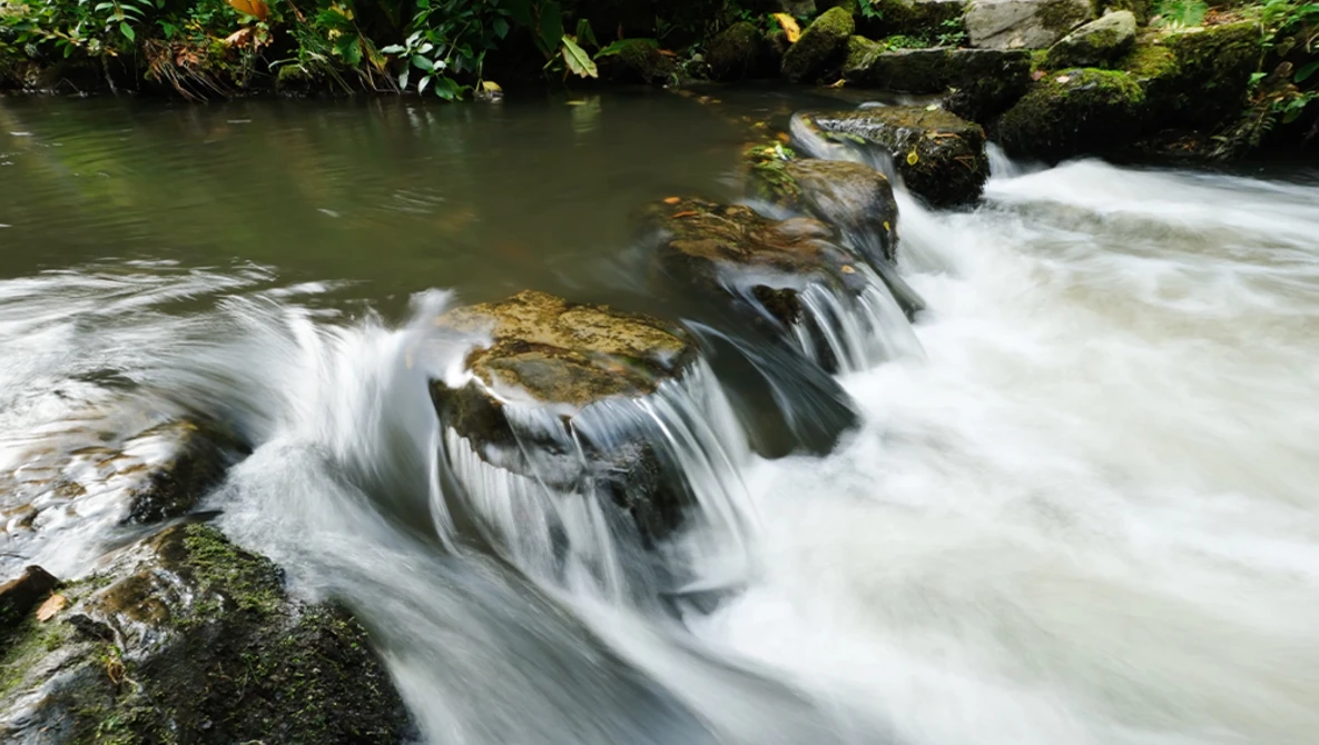 Cascading stream with multiple small waterfalls flowing over moss-covered rocks surrounded by lush green vegetation.