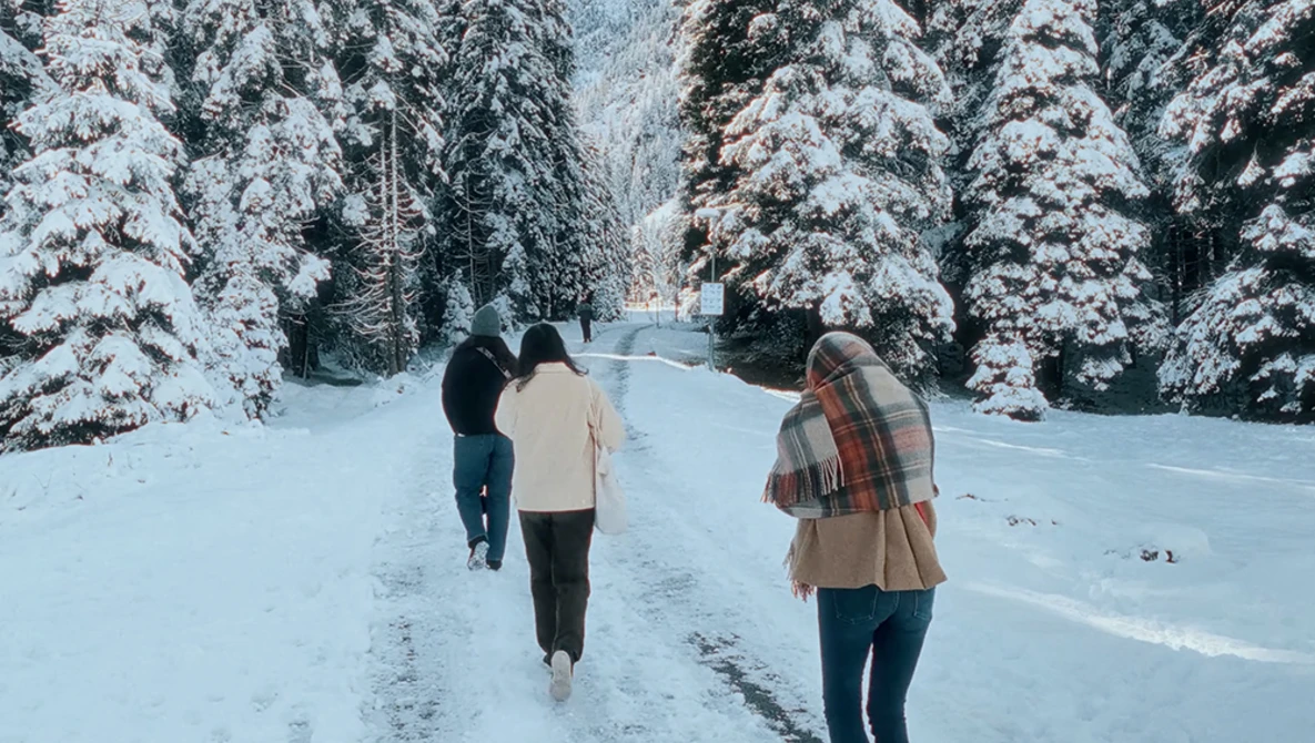 Three people jogging on a snowy forest road lined with snow-covered evergreen trees.