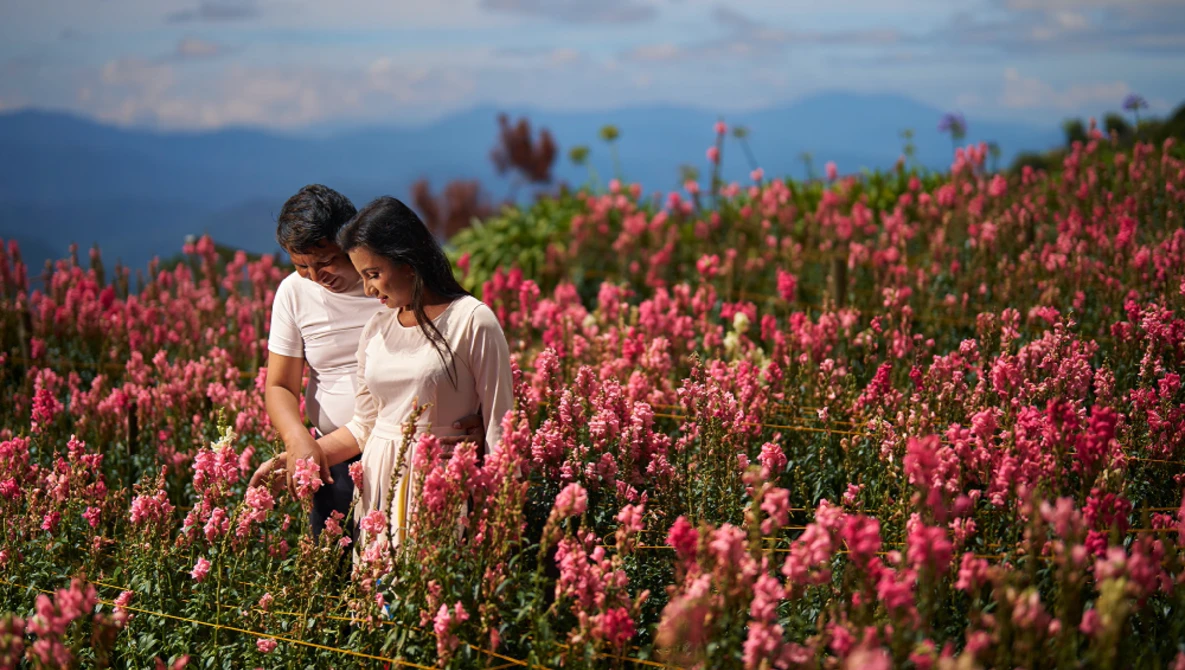Couple in white clothing standing together in a field of blooming red flowers with mountains visible in the background.