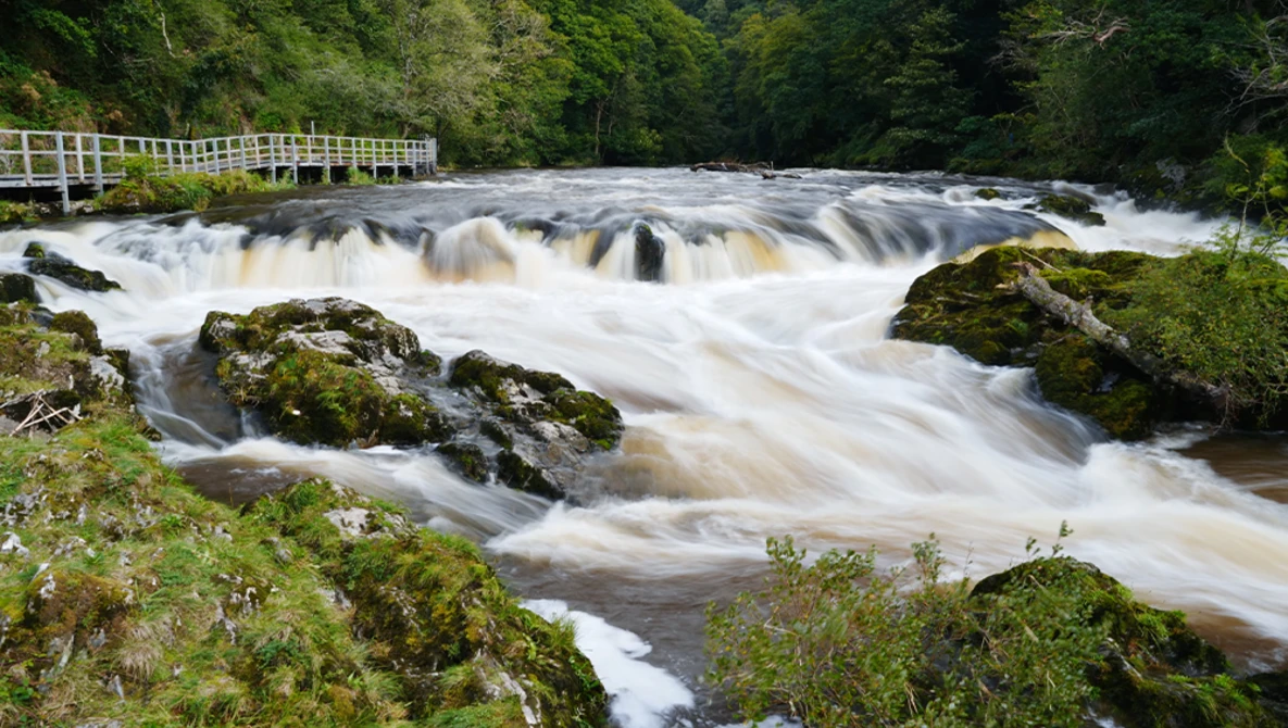 Rapid whitewater river flowing through moss-covered rocks with dense forest and wooden footbridge upstream.