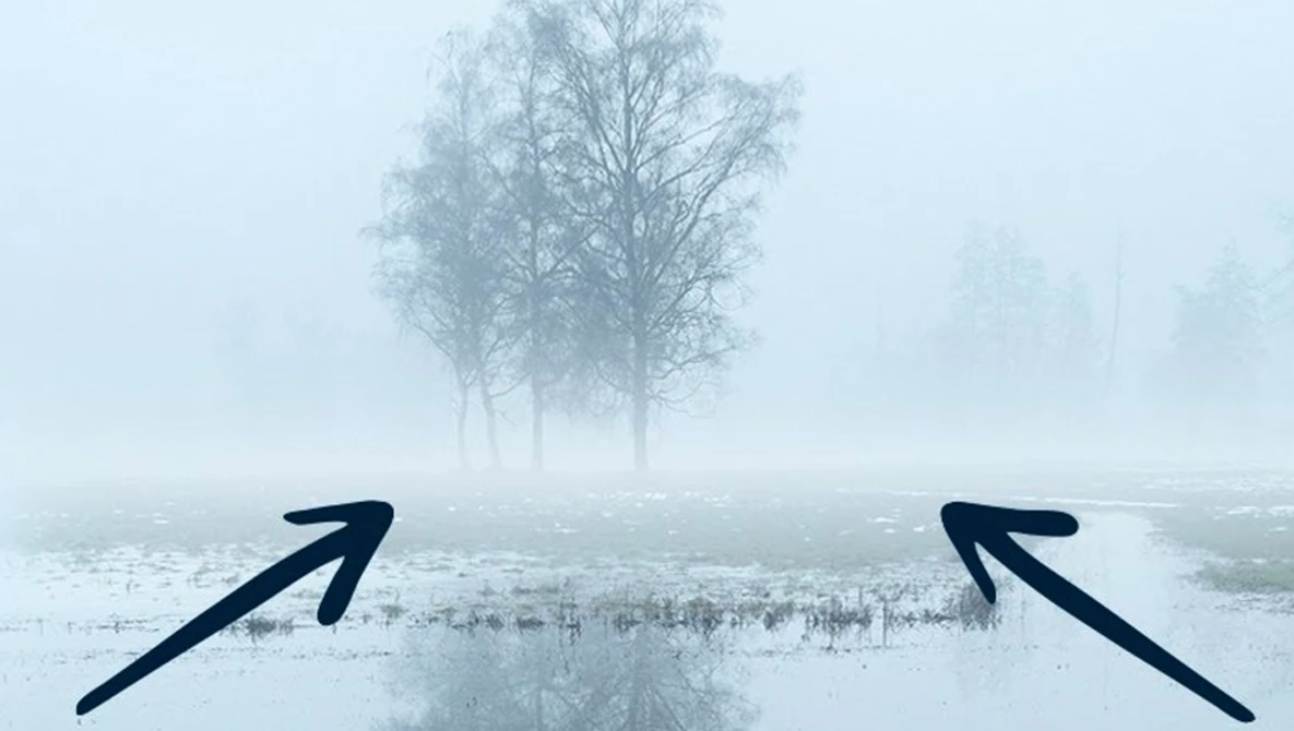 Minimalist composition with two arrows pointing outward over a misty wetland landscape with bare trees.