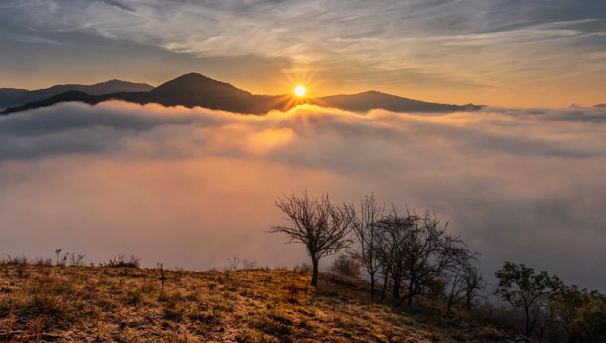 Sunrise breaking above a dense cloud layer with mountains silhouetted on the horizon and bare trees in the foreground.