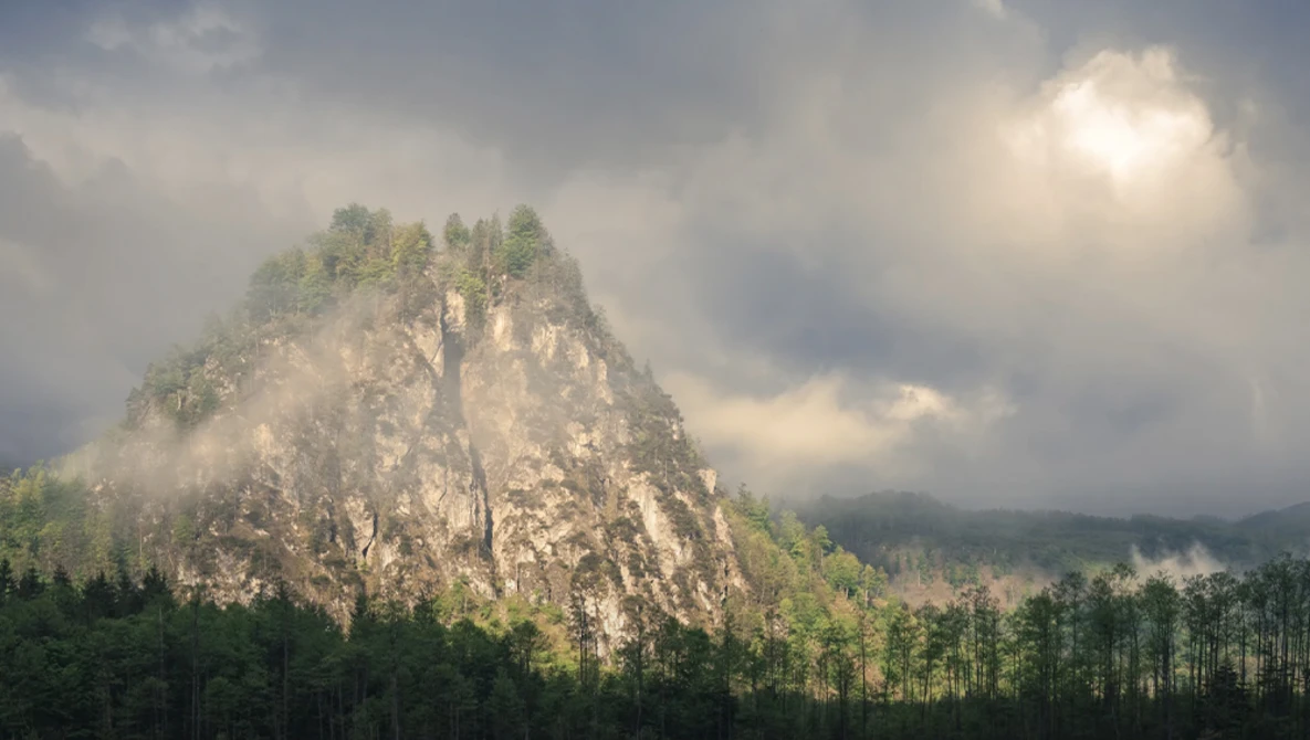 Dramatic rocky peak surrounded by dense forest and swirling mist under cloudy sky.