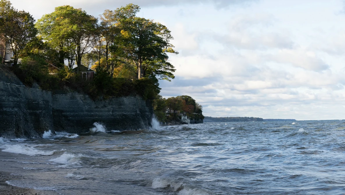 Rocky cliff shoreline with trees and breaking waves under cloudy sky.