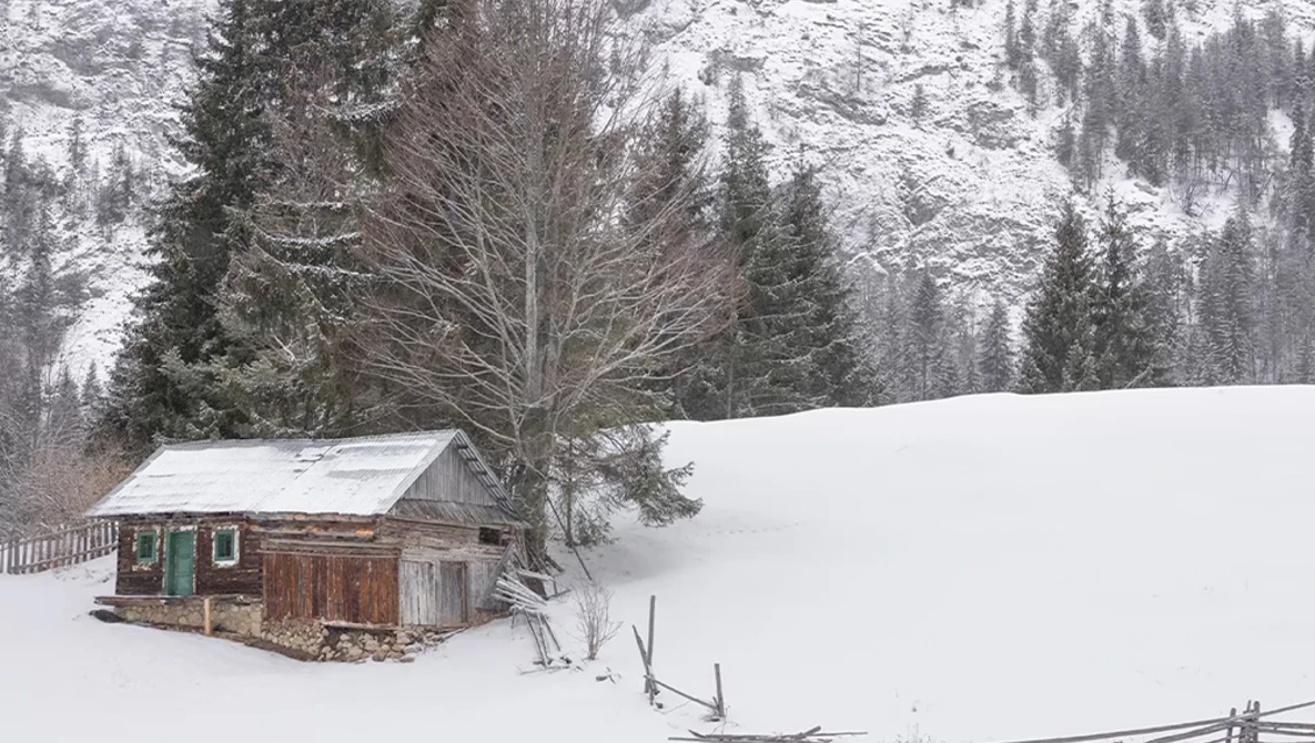 Wooden cabin nestled in deep snow beneath a bare tree, surrounded by evergreen forest on snowy hillsides.