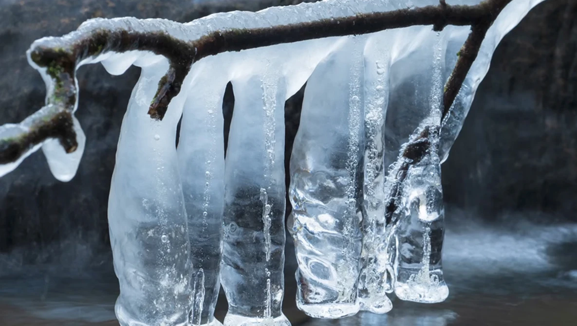 Icicles hanging from a frozen branch over partially frozen water.