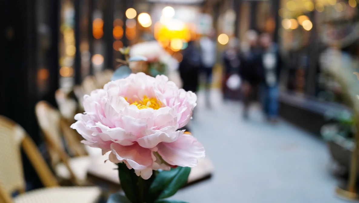 Pink peony with yellow center in sharp focus against blurred urban street scene with pedestrians and storefronts.