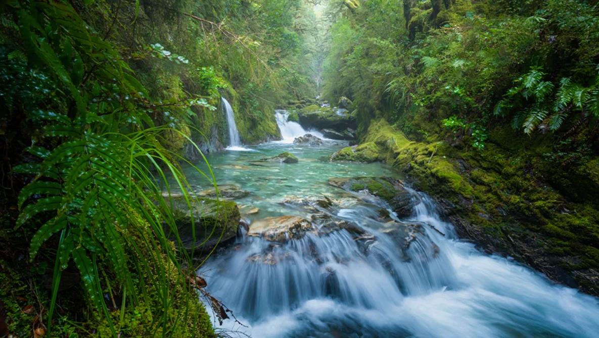 Cascading waterfall flowing through a dense, moss-covered forest with emerald pools.