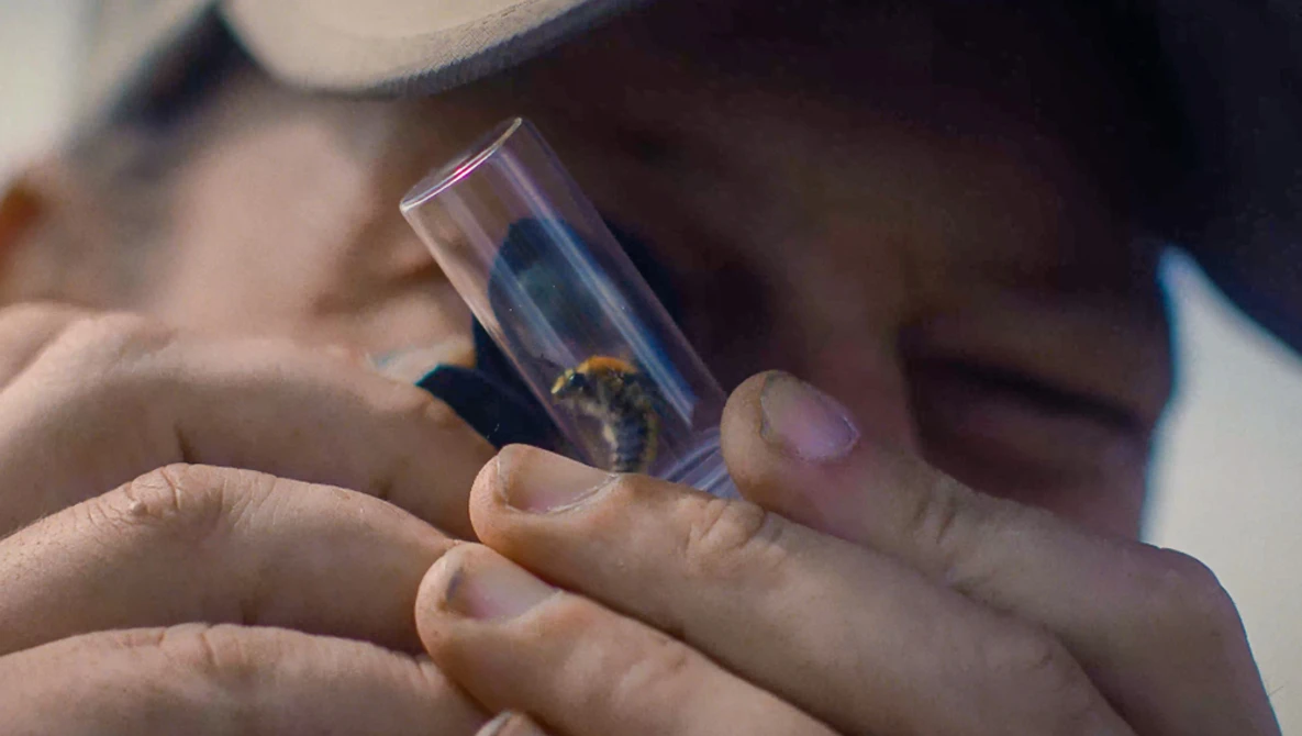Close-up of hands holding a clear acrylic specimen box containing an insect specimen.