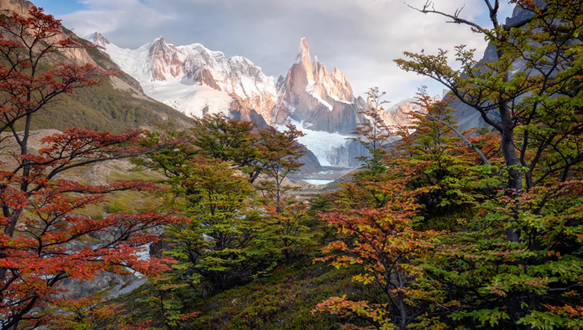 Snow-capped mountain peak framed by autumn foliage in a valley landscape.