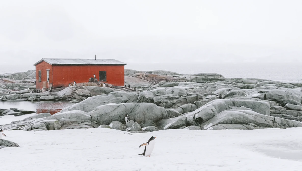 A penguin walks across snow-covered ice toward a bright red building surrounded by rocky terrain.