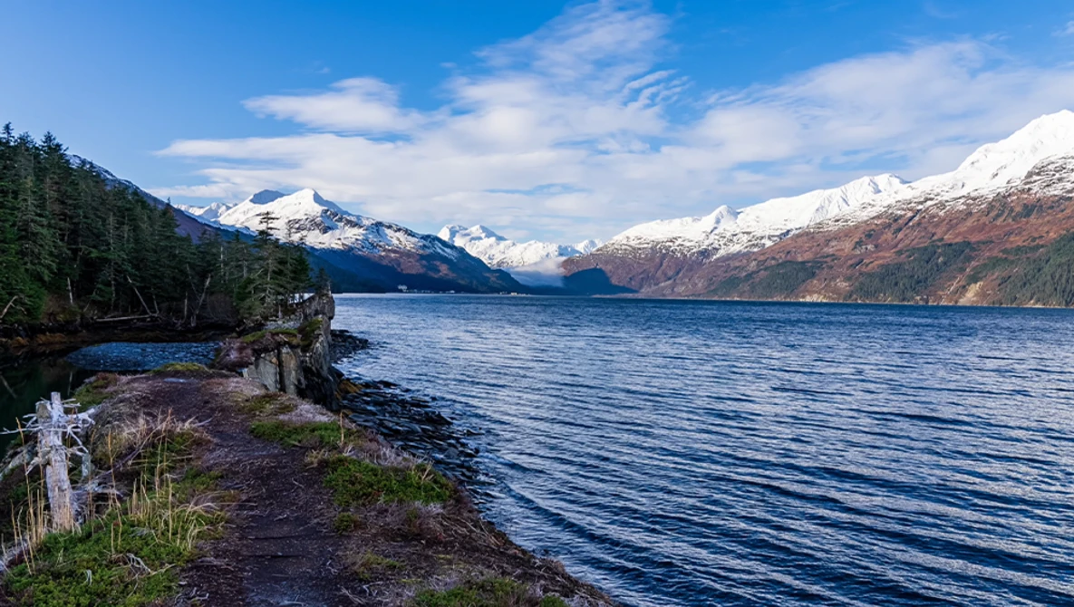 Snow-capped mountains across a deep blue lake with forested shoreline and driftwood in foreground.