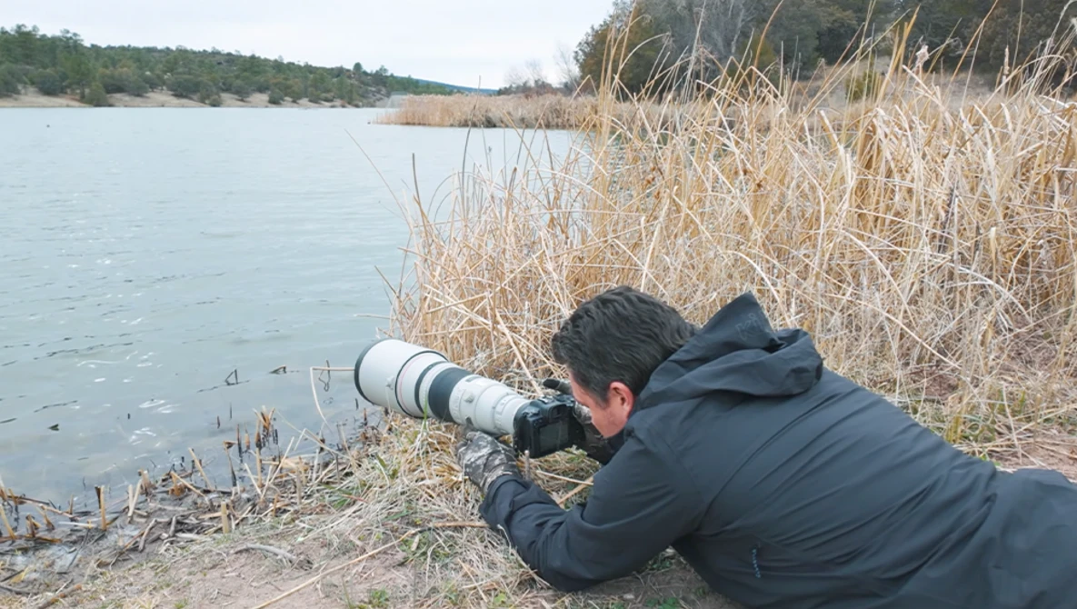 Wildlife photographer crouched among reeds, aiming a telephoto lens toward waterfowl on a lake.