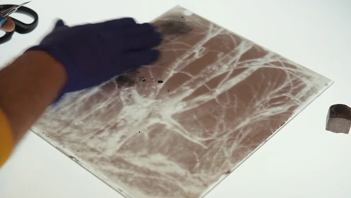 Hands holding an X-ray film showing chest radiography with visible anatomical structures.