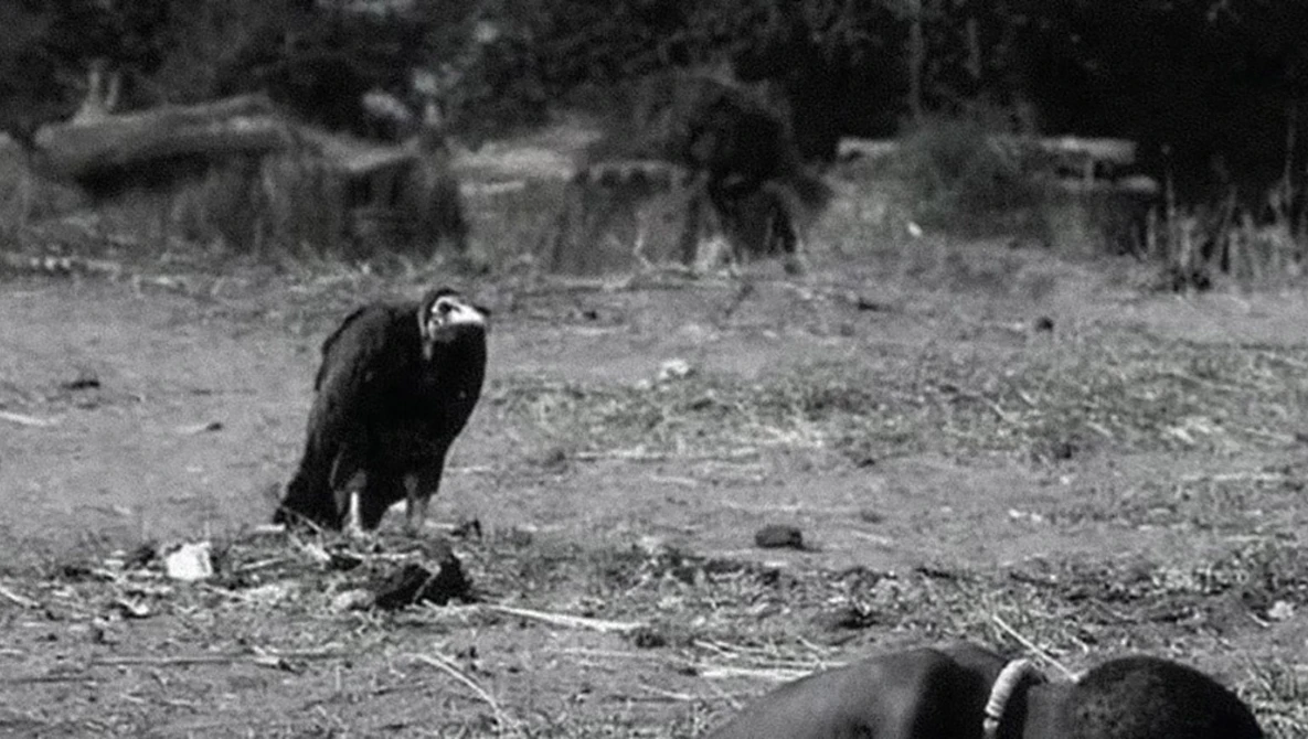 Bald eagle perched on ground in wilderness setting, black and white film photograph.