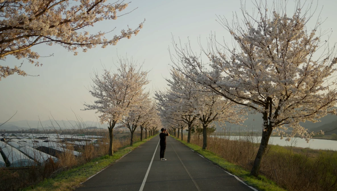 Person jogging down a tree-lined rural road in soft morning light, with water and fields visible on either side.
