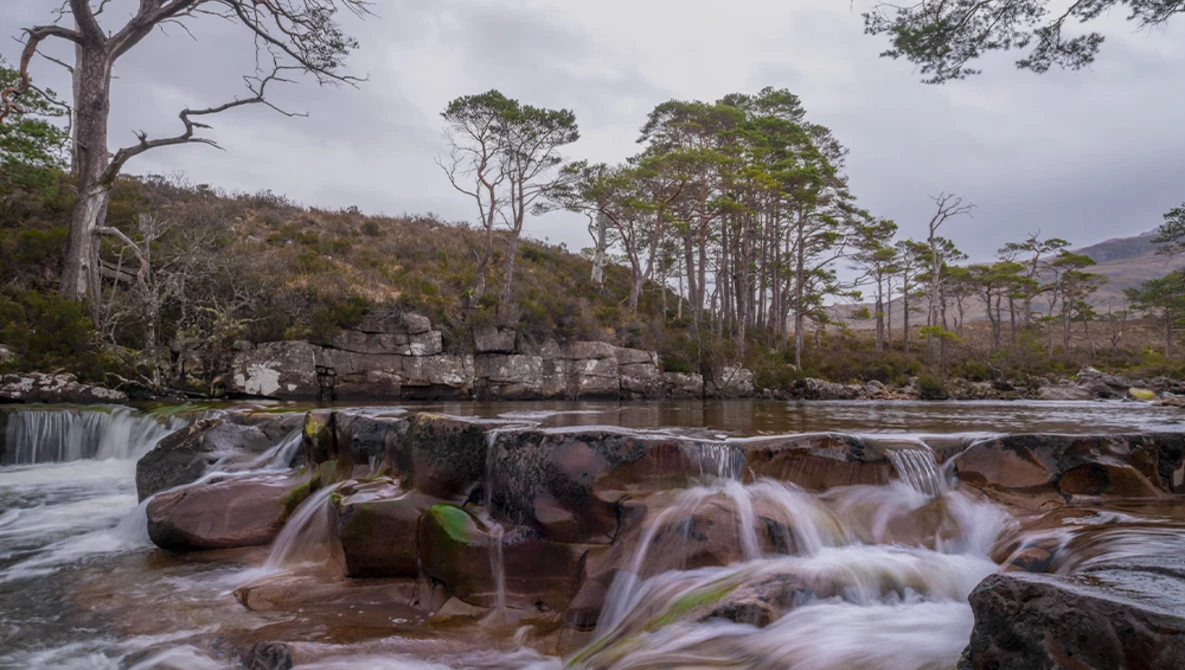 Flowing river with smooth water cascading over moss-covered rocks, surrounded by pine trees and bare branches under overcast sky.