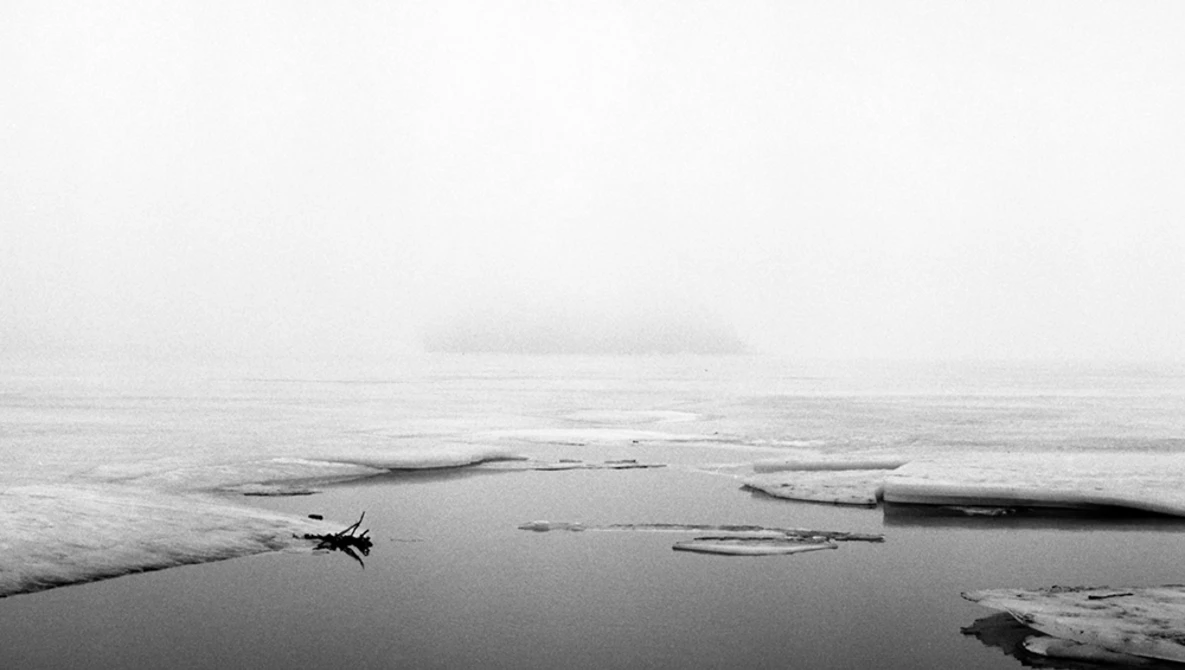 Minimalist black and white landscape with a lone boat on still water surrounded by driftwood logs in mist.
