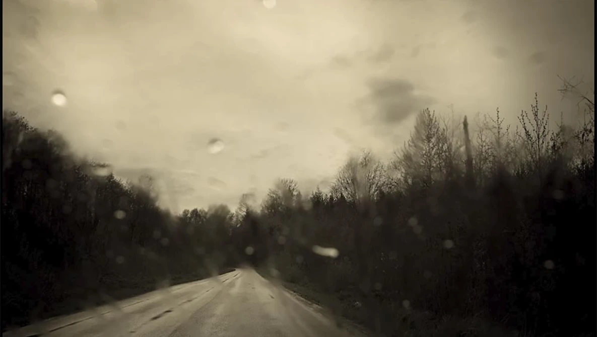 Straight road stretching into distance under overcast sky with bare trees flanking both sides.