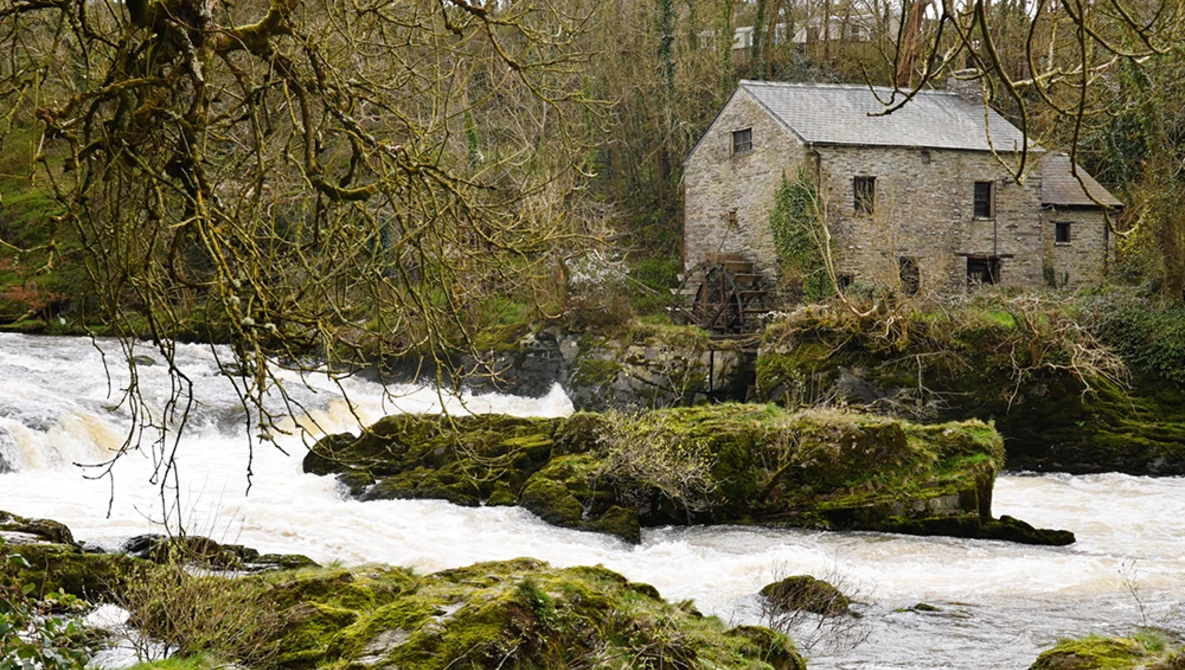 Stone mill building beside a flowing river with moss-covered rocks in foreground, leafless trees overhead.