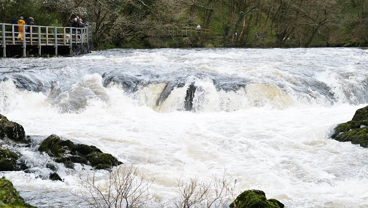 Turbulent whitewater rapids cascade over rocky terrain with moss-covered boulders in the foreground and an observation platform visible upstream left.