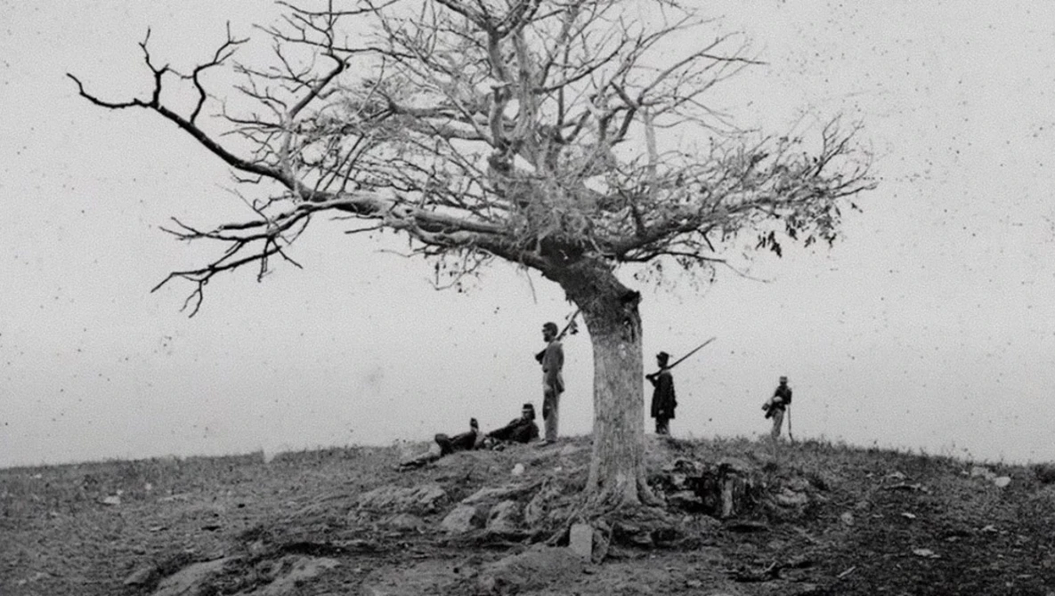 Bare tree on hillside with several figures standing beneath its gnarled branches in black and white.