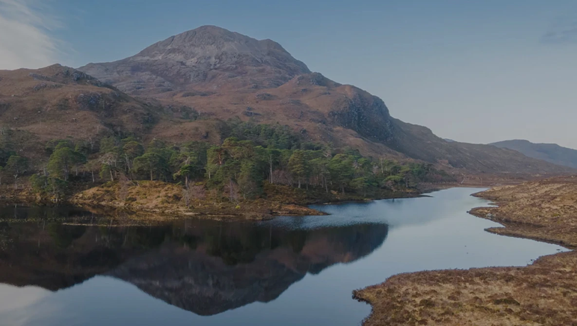 Mountain reflected in still lake water with forested slopes and moorland surrounding the shoreline.