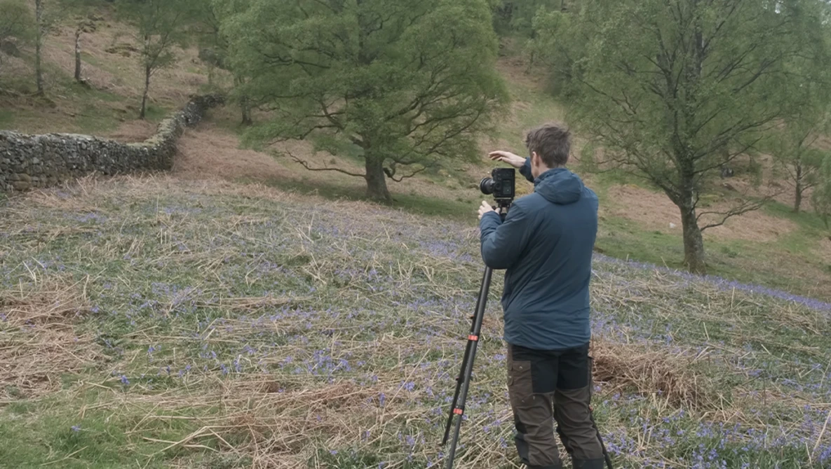 Photographer with tripod capturing wildflowers in a woodland meadow during golden hour.