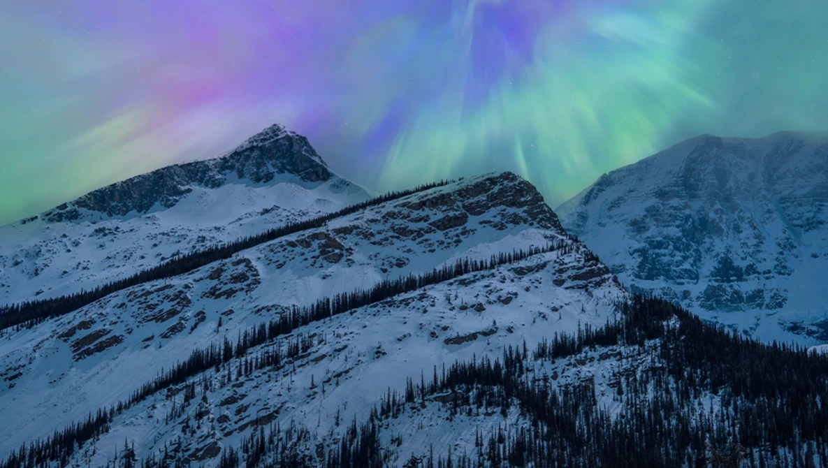 Snow-covered mountains with coniferous forest under vibrant aurora borealis display.
