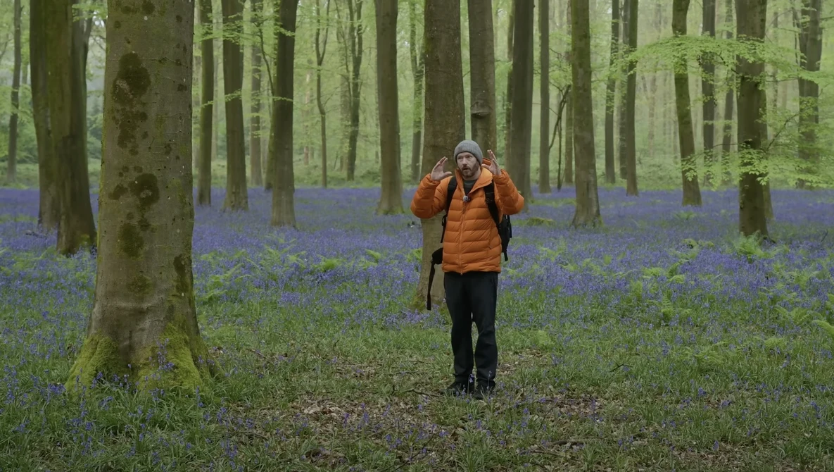 Hiker in orange jacket jogging through forest floor carpeted with purple wildflowers.