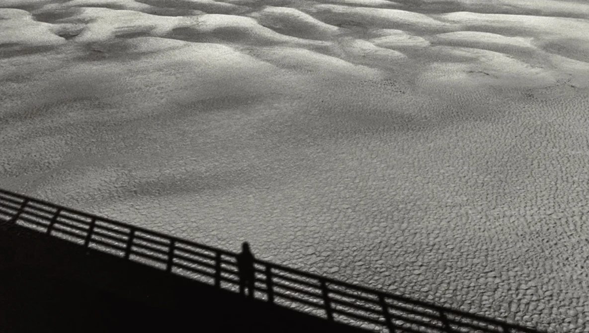 Shadow of a wooden fence cast across rippled sand dunes in strong sunlight.