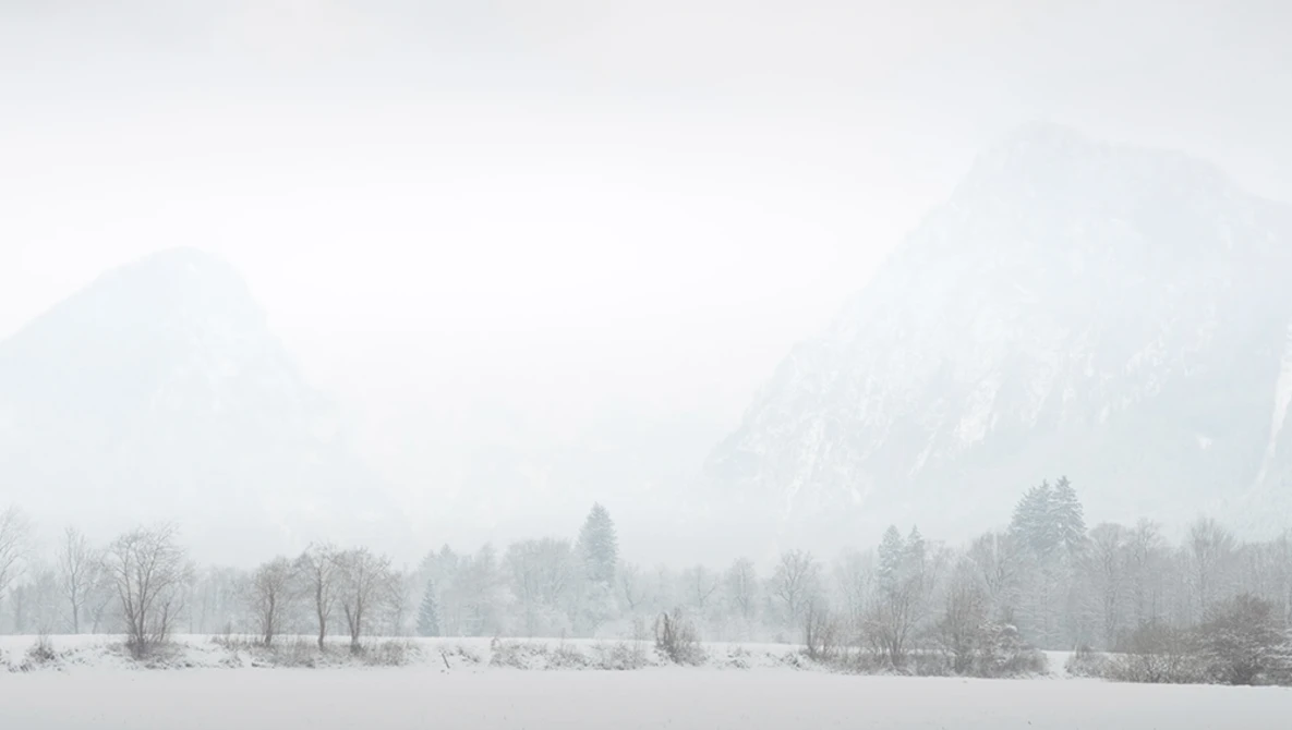 Snow-covered meadow with bare and coniferous trees beneath fog-shrouded mountains.