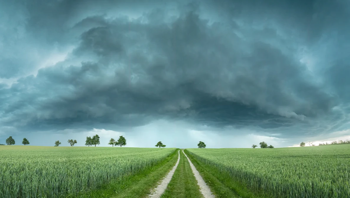 Straight dirt road through green grain fields under dramatic dark storm clouds.