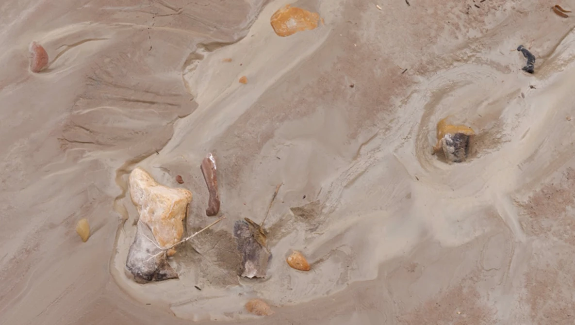 Aerial view of exposed rocks and boulders scattered across wet sand and shallow water.