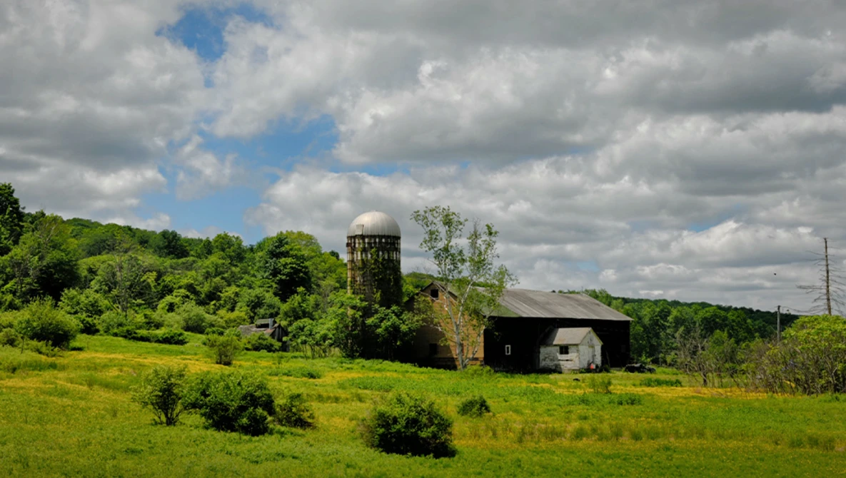 Rural landscape with wooden silo and barn structures nestled among dense green trees and fields.