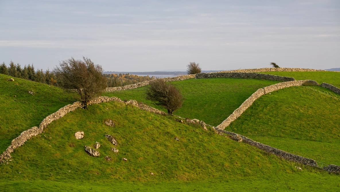 Rolling green hillside with stone walls and scattered trees overlooking a distant water body.