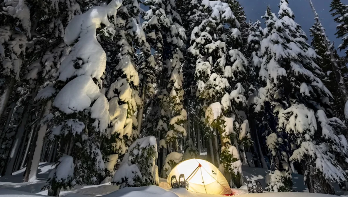 Illuminated tent nestled among snow-laden evergreen trees in a winter forest at dusk.